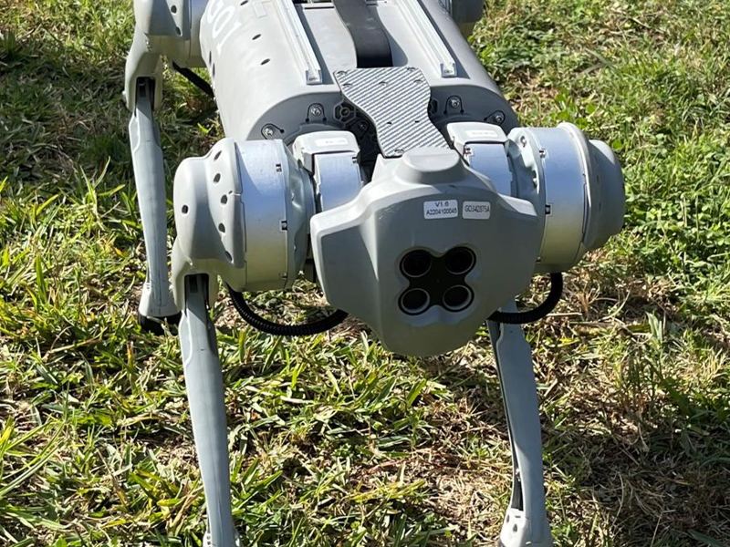 Daisy, a grey quadruped robot, standing on grass