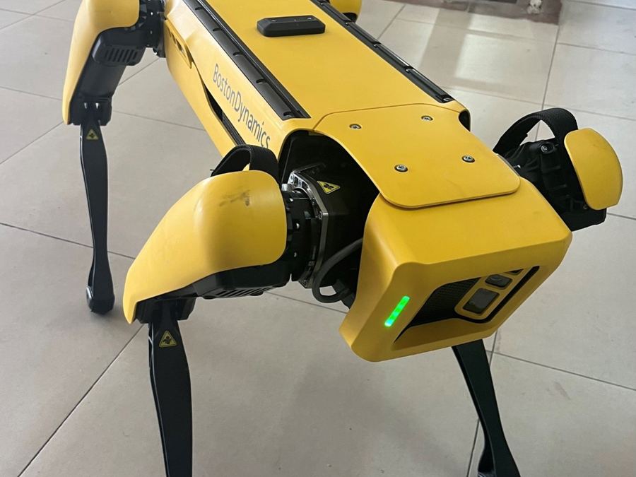 Golda, a yellow Boston Dynamics Spot robot